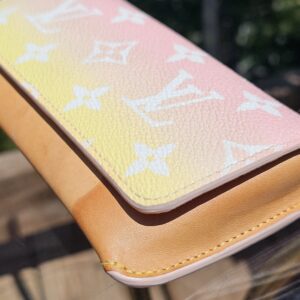 Woody Sunglasses Case - Image 4