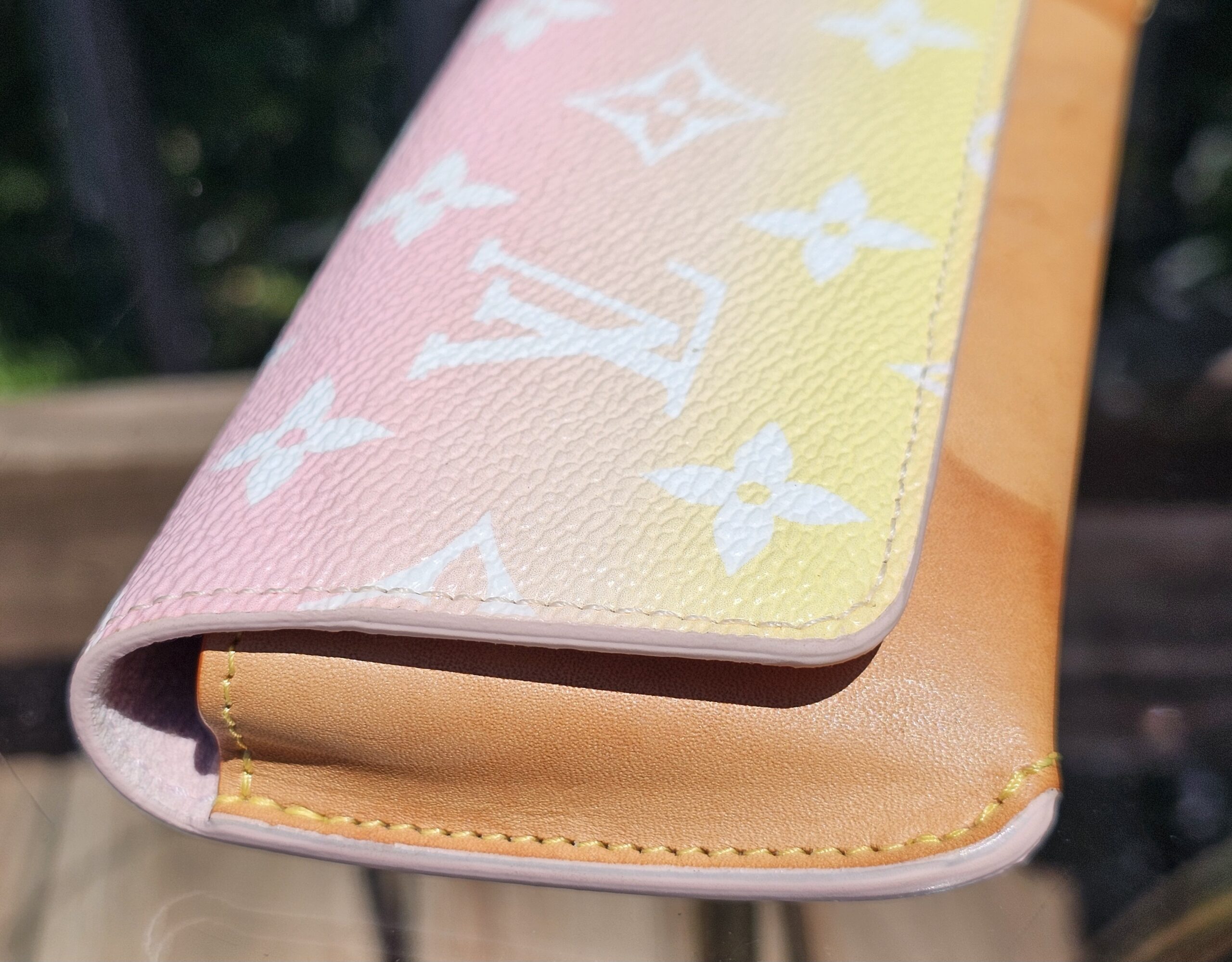 Woody Sunglasses Case - Image 5