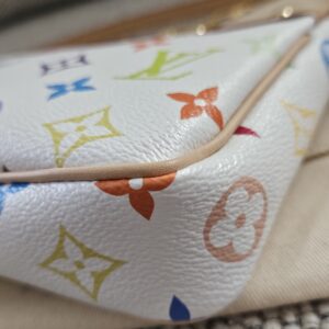 Multicolor Pochette Accessories - Image 6