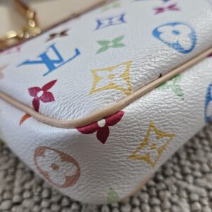 Multicolor Pochette Accessories - Image 7