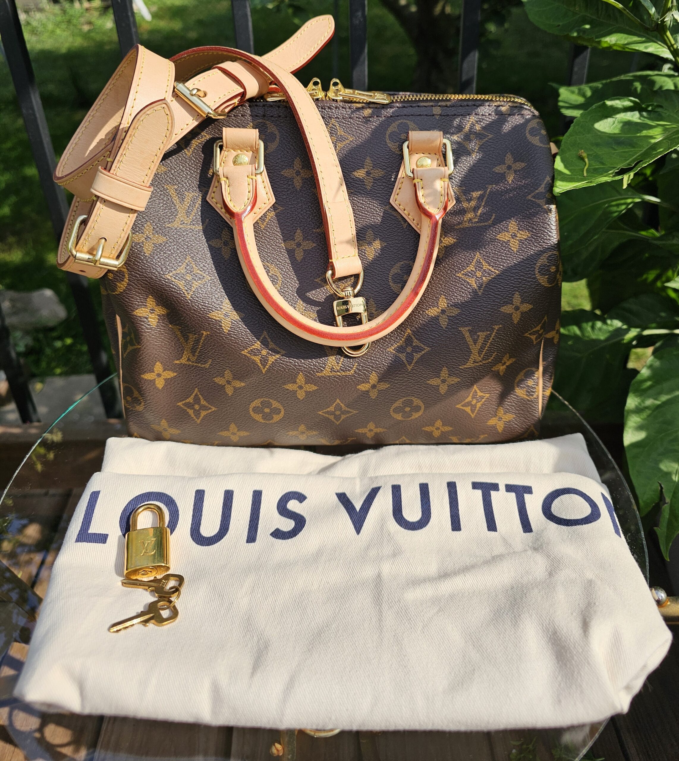 Speedy Bandouliere 25 Monogram