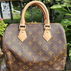 Speedy Bandouliere 25 Monogram - Image 3