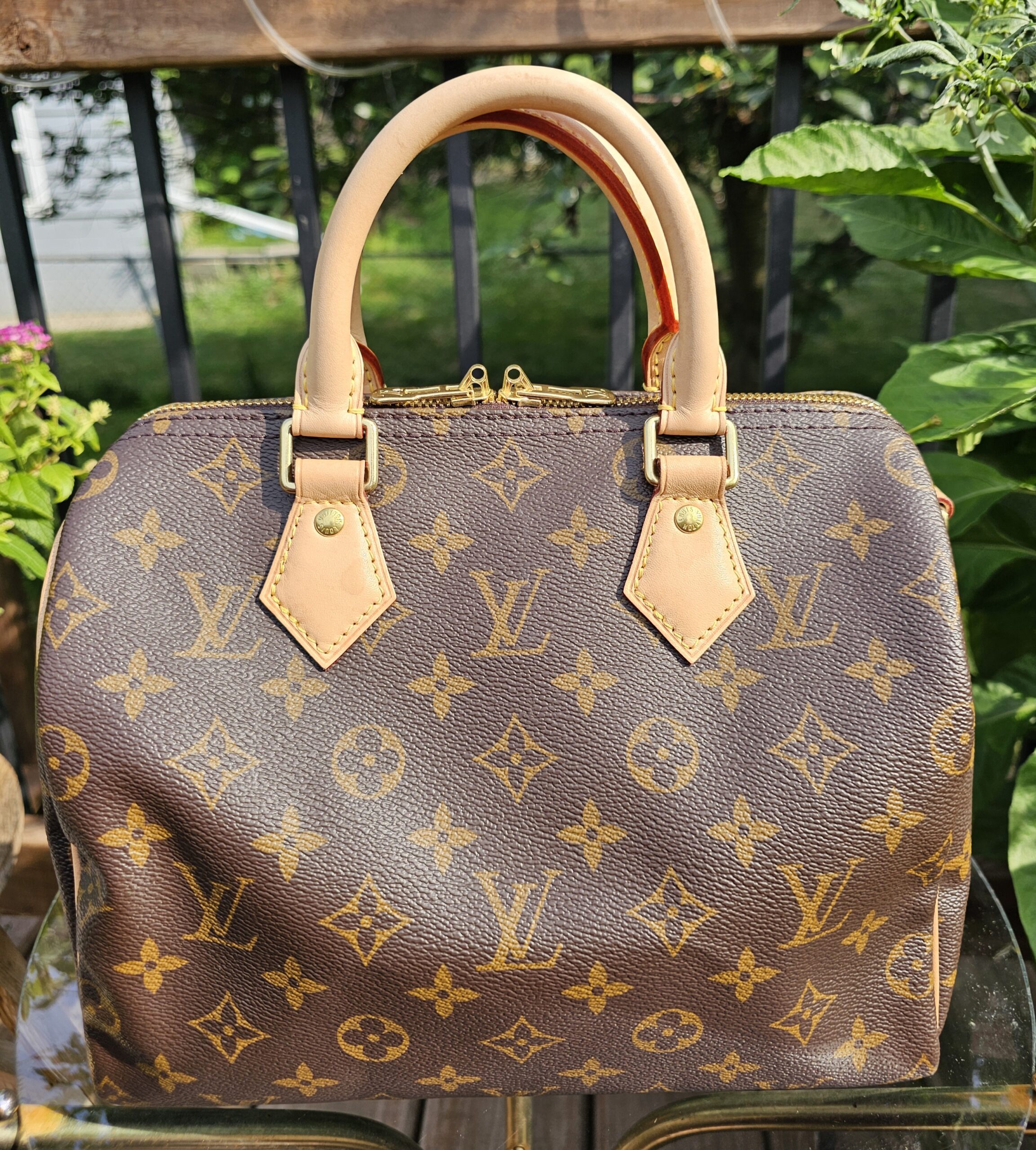 Speedy Bandouliere 25 Monogram - Image 3
