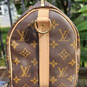 Speedy Bandouliere 25 Monogram - Image 5
