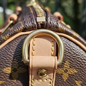 Speedy Bandouliere 25 Monogram - Image 15