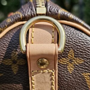 Speedy Bandouliere 25 Monogram - Image 16