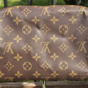 Speedy Bandouliere 25 Monogram - Image 18