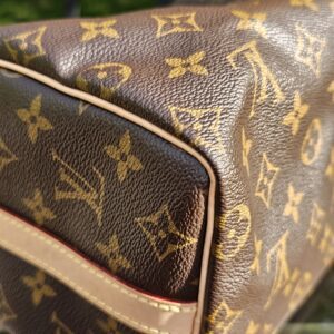 Speedy Bandouliere 25 Monogram - Image 19