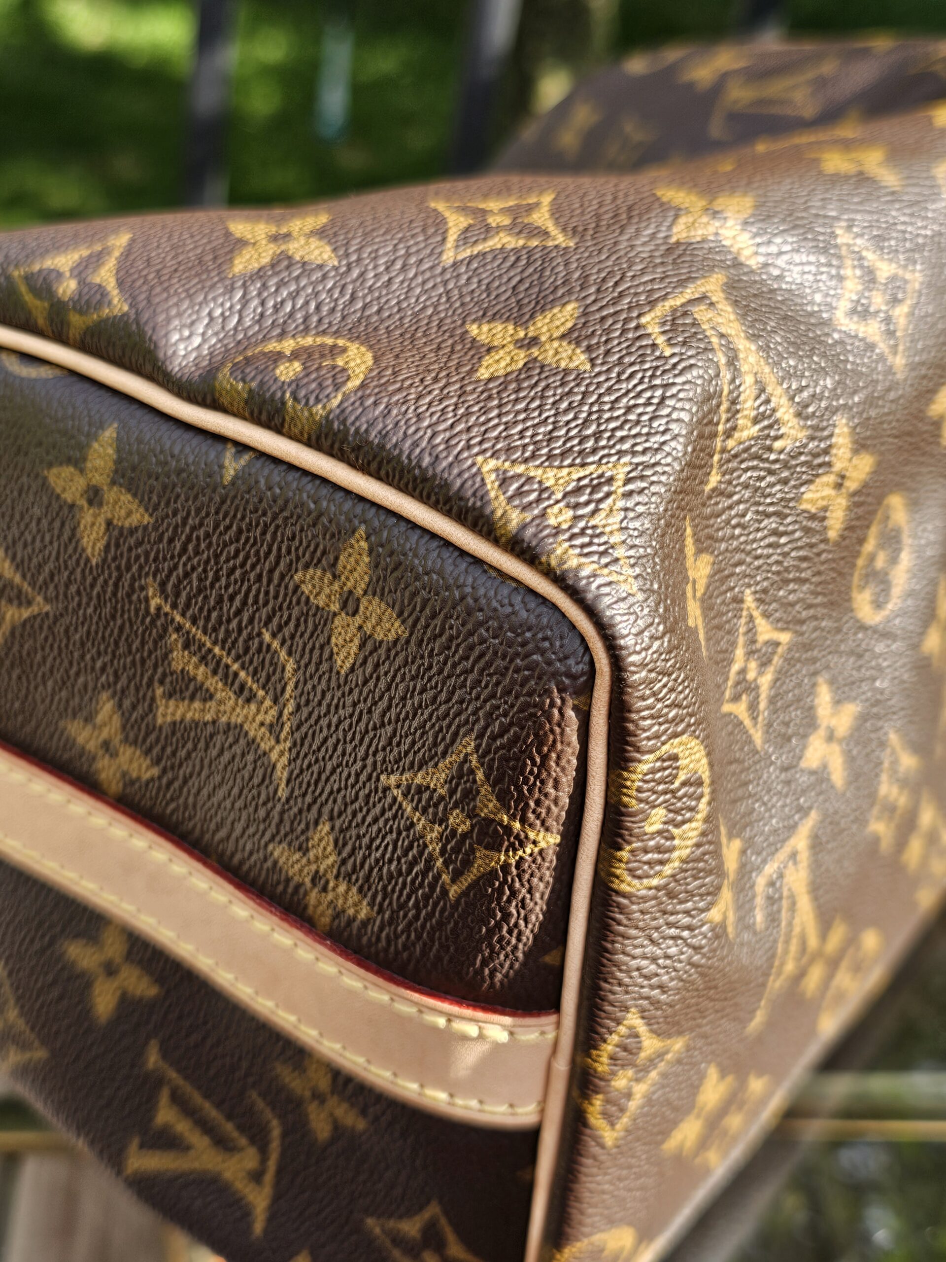 Speedy Bandouliere 25 Monogram - Image 19