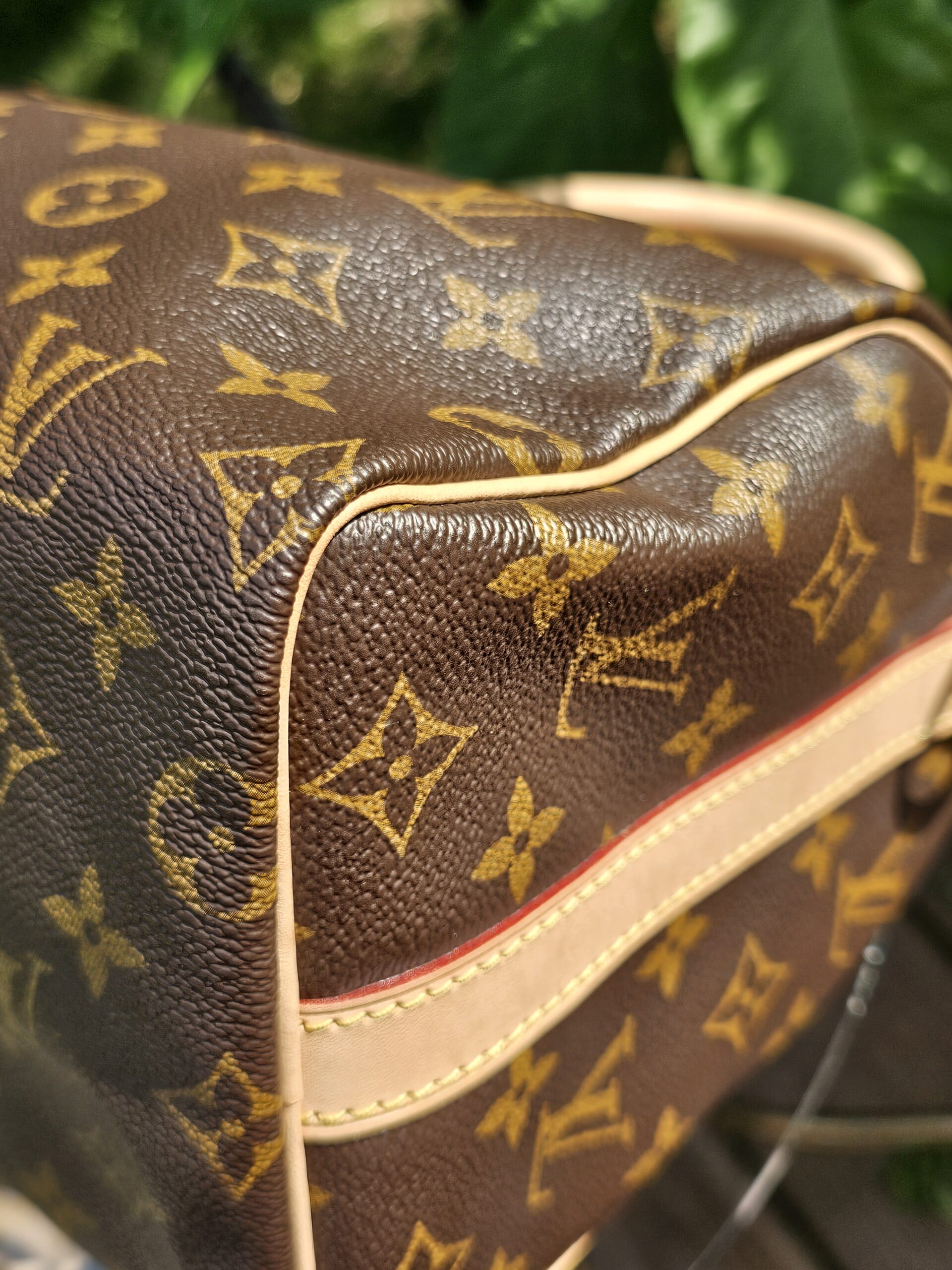 Speedy Bandouliere 25 Monogram - Image 20