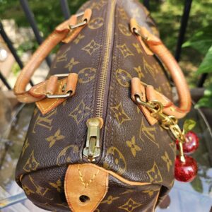 Speedy 25 Monogram - Image 6