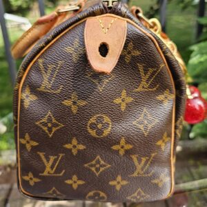 Speedy 25 Monogram - Image 7