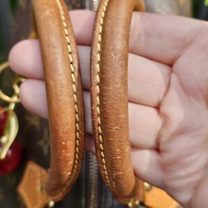 Speedy 25 Monogram - Image 10