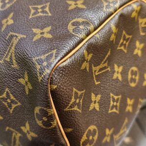 Speedy 25 Monogram - Image 19