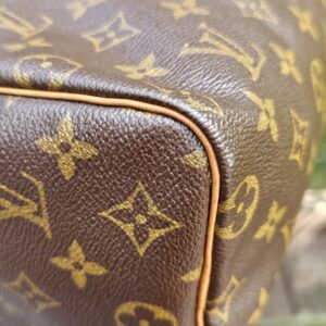 Speedy 25 Monogram - Image 22