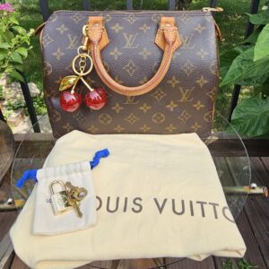 Speedy 25 Monogram