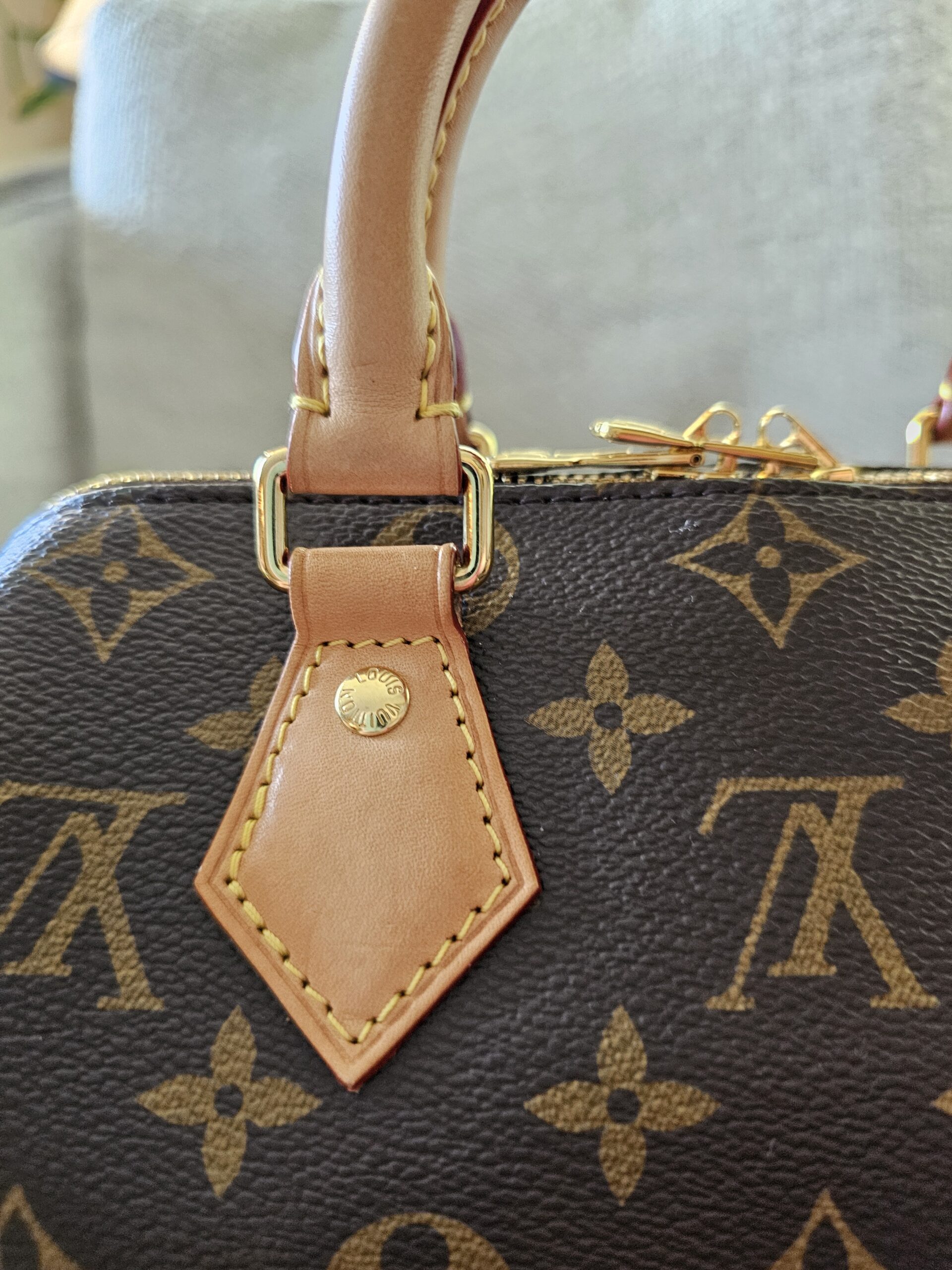 Speedy Bandouliere 20 Monogram - Image 11
