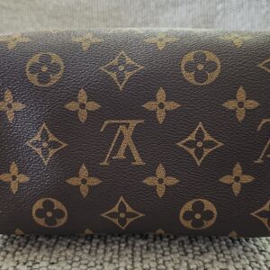 Speedy Bandouliere 20 Monogram - Image 13