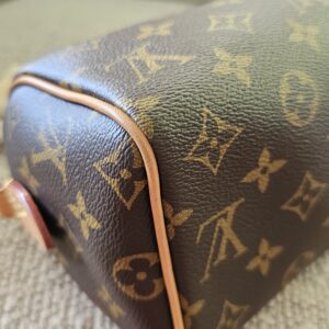 Speedy Bandouliere 20 Monogram - Image 15