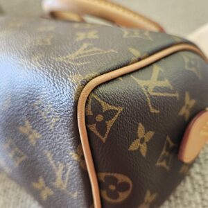 Speedy Bandouliere 20 Monogram - Image 16