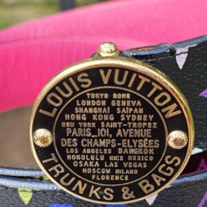 Trunks and Bags Multicolor Belt - Image 3