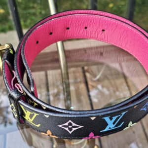 Trunks and Bags Multicolor Belt - Image 4