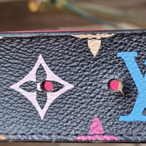 Trunks and Bags Multicolor Belt - Image 10