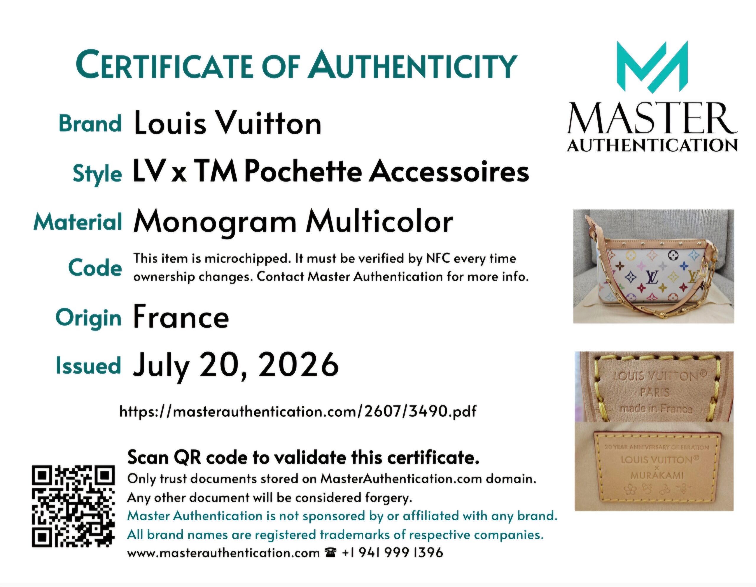 Multicolor Pochette Accessories - Image 19