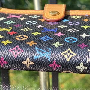 Louis Vuitton Agenda PM Multicolor Takashi Murakami - Image 7