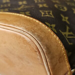 Louis Vuitton Alma PM Monogram Canvas - Image 13