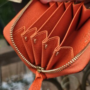 Louis Vuitton Zippy Multicartes held open showing the accordion card slots