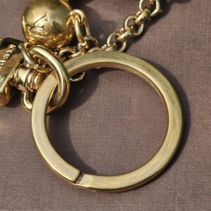 Gold-tone key ring and chain on the Louis Vuitton Eclipse key holder and bag charm