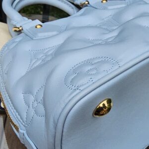 Side panel and gold stud of the Louis Vuitton Bubblegram Alma BB