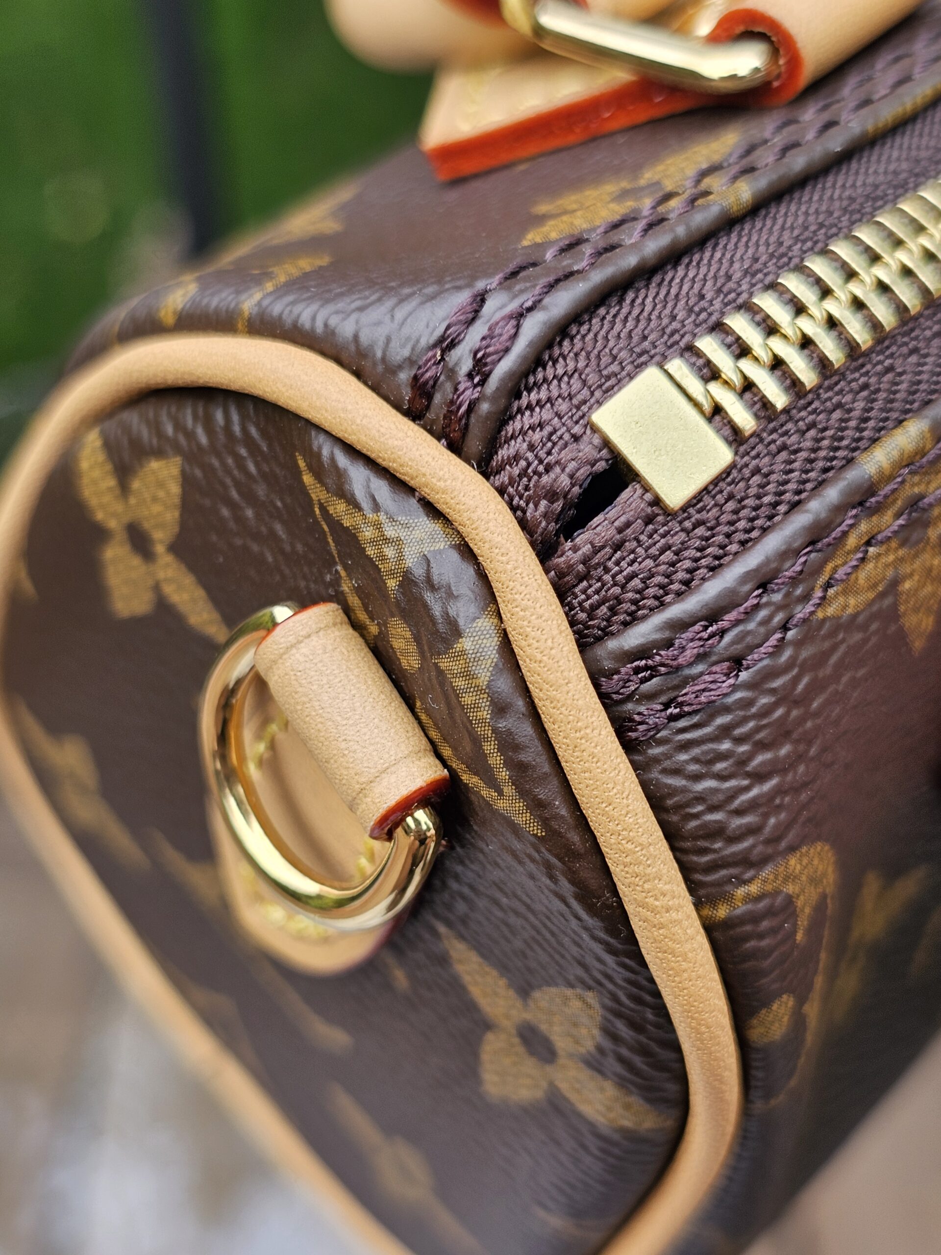 End of the zip track and gold-tone D-ring on the Louis Vuitton Nano Speedy Bandouliere