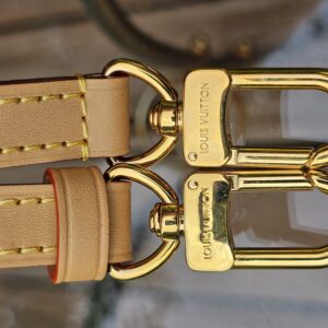 Gold-tone hook clasps on the removable strap of the Louis Vuitton Nano Speedy Bandouliere