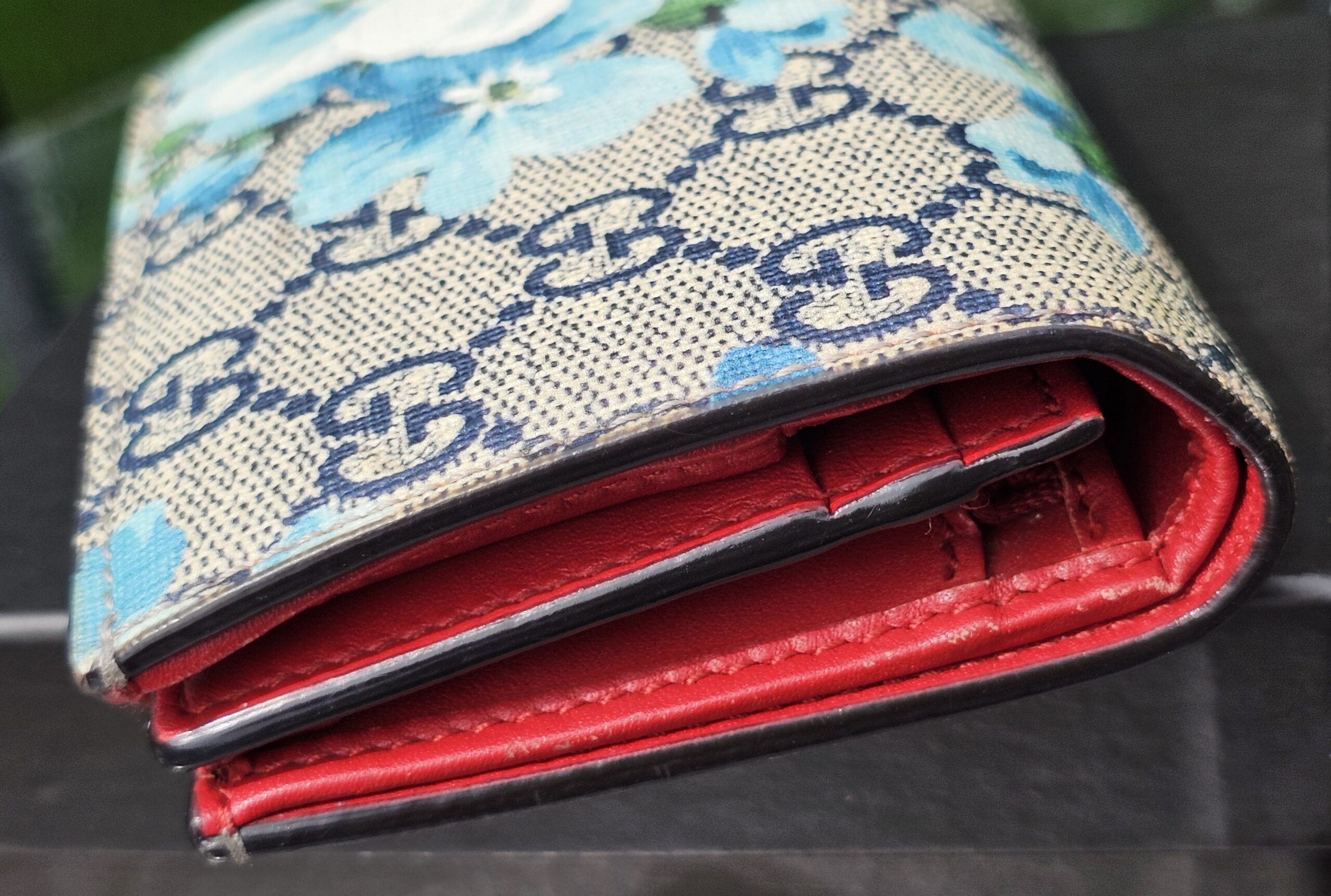 Angled view of the Gucci GG Supreme Blooms compact wallet with red interior visible