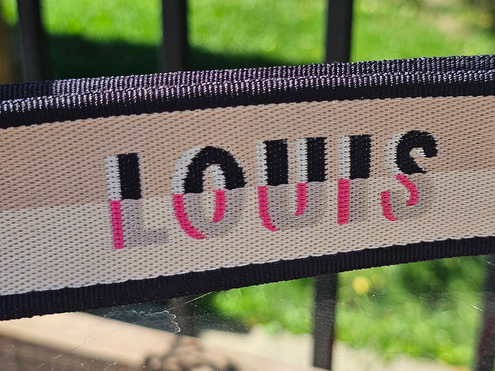 Louis Vuitton Speedy Bandoulière 20 Adjustable Jacquard Shoulder Strap – Black/Pink - Image 11