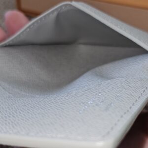 Interior pocket of the Louis Vuitton Iridescent Gradient Pocket Organizer