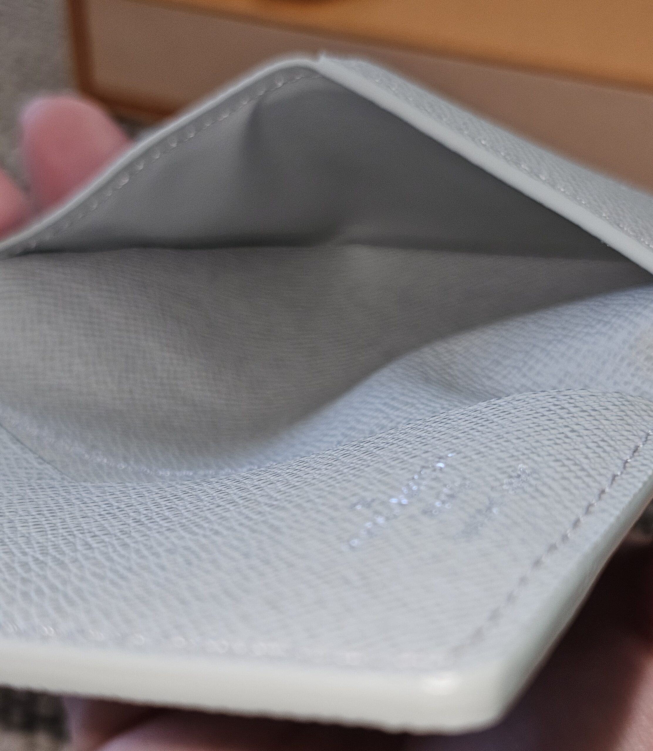 Interior pocket of the Louis Vuitton Iridescent Gradient Pocket Organizer