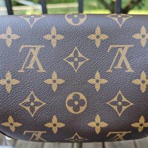 Reverse of the Louis Vuitton Cerises Mini Bumbag in plain Monogram coated canvas