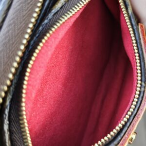 Interior of the Cerises Mini Bumbag showing the red lining against the gold-tone zip