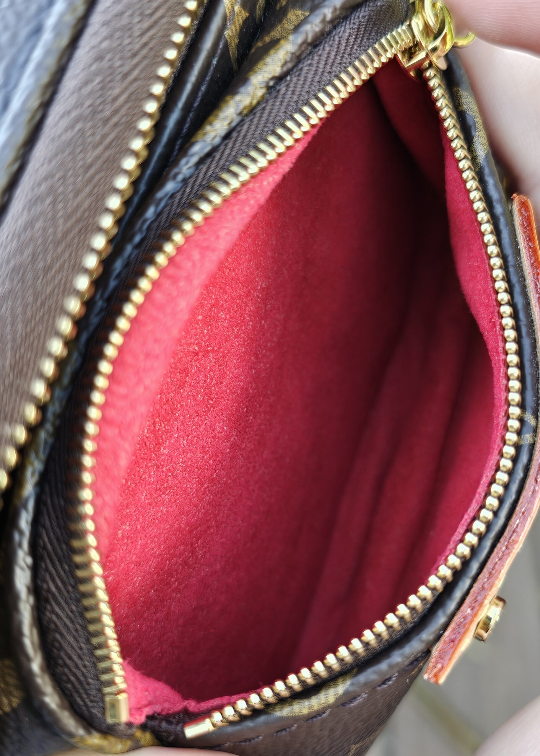 Interior of the Cerises Mini Bumbag showing the red lining against the gold-tone zip