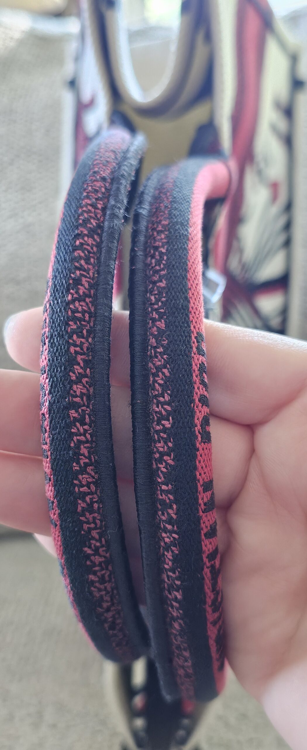 Embroidered handles of the Dioramour Book Tote held together, showing light fuzzing