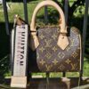 Louis Vuitton Monogram Speedy Bandoulière 20 - front view with the printed shoulder strap attached