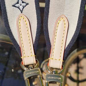 Vachetta tabs and gold-tone snap hooks on the printed strap