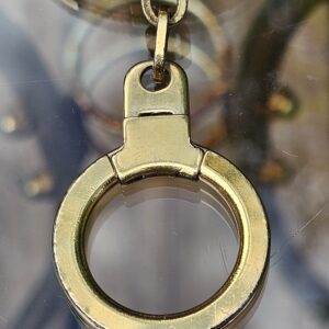 Engraved gold-tone ring on the Astropill key holder