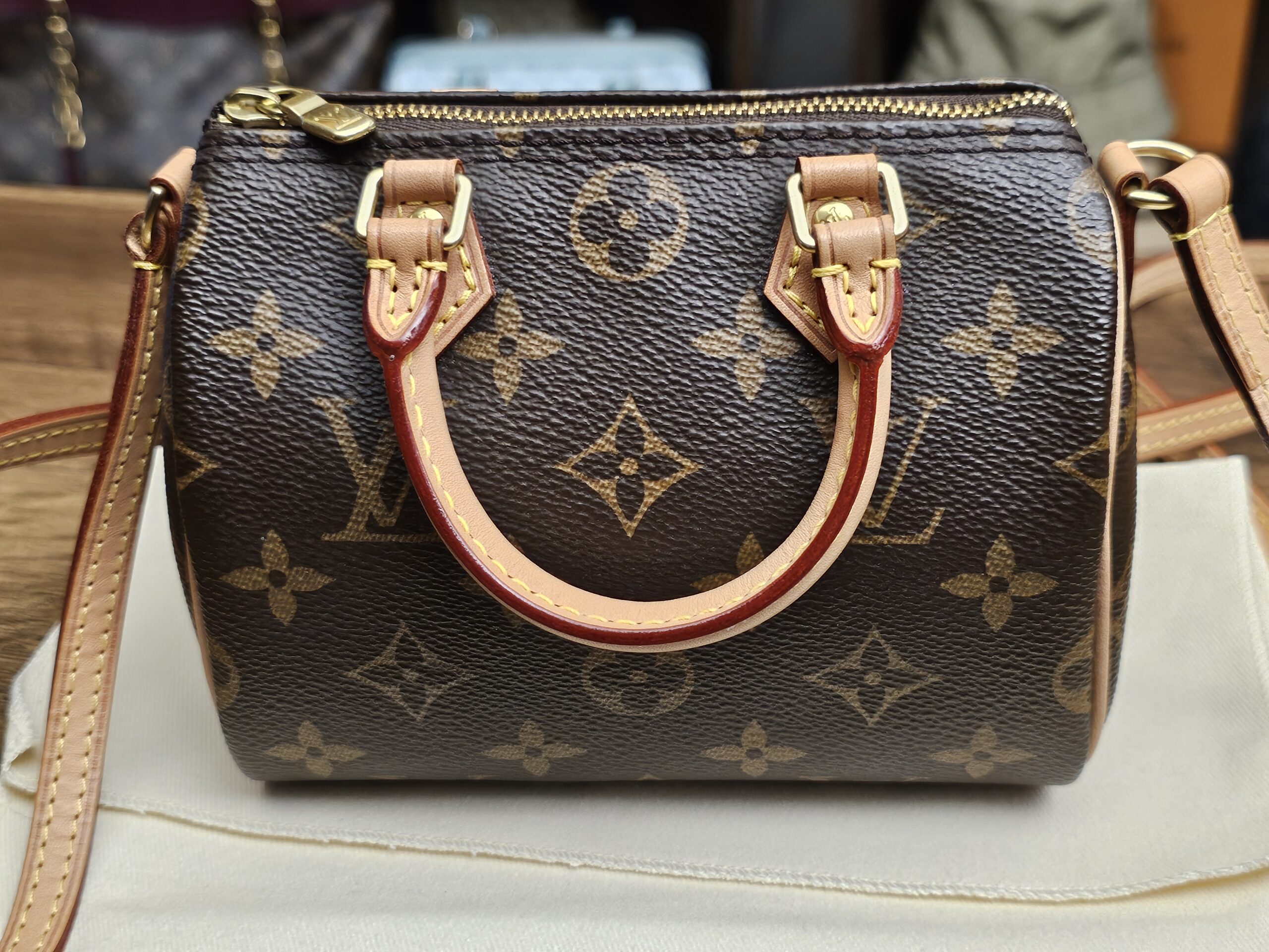 Back view of the Monogram canvas