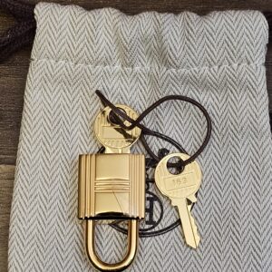 Gold-tone padlock and two keys on the pouch