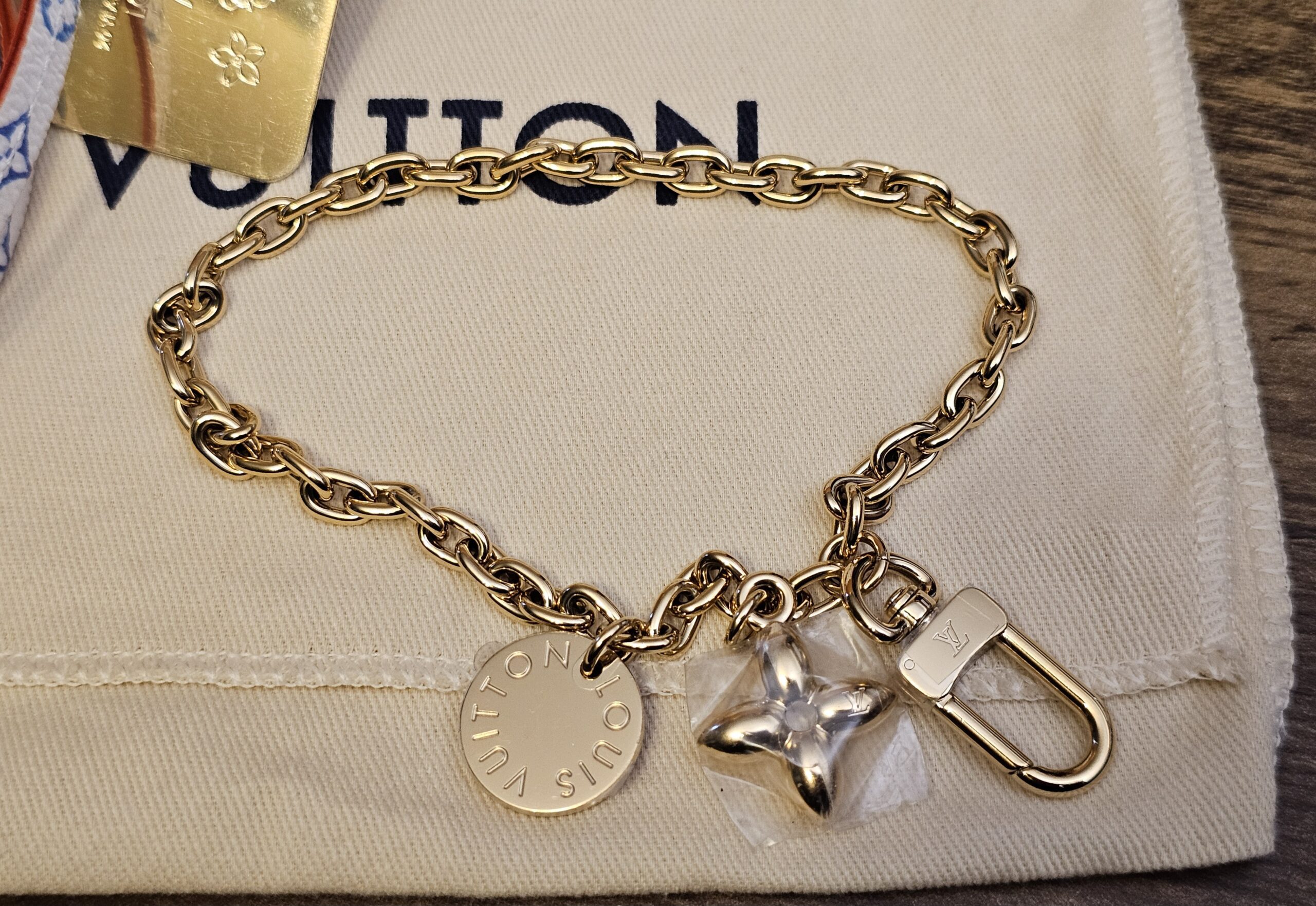 Back of the charm chain showing the gold-tone medallion