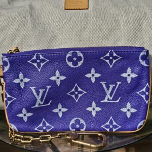 Matching zip pouch with gold-tone chain